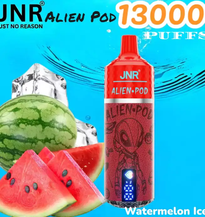 JNR Alien Pod 13000 PUFFS Vape Jetable Durable et Saveurs Variées