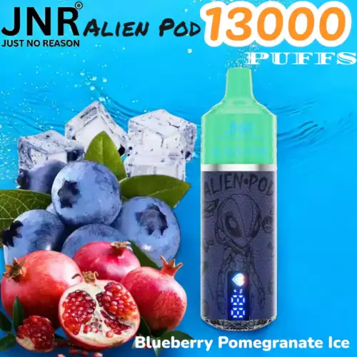 JNR Alien Pod 13000 PUFFS Vape Jetable Durable et Saveurs Variées