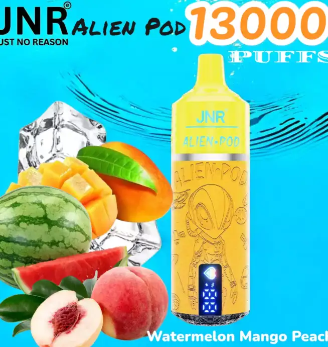 JNR Alien Pod 13000 PUFFS Vape Jetable Durable et Saveurs Variées