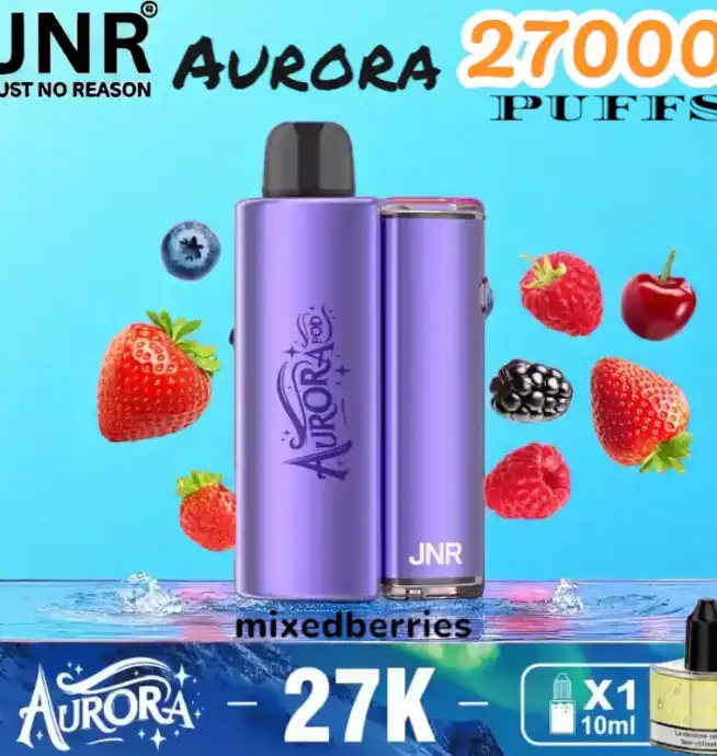 JNR Aurora 27000 PUFFS Vape jetable rechargeable 27K double pods