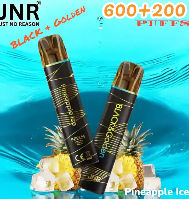 JNR BLACK & Golden 600+200 PUFFS Disposable Vape Triple Saveur Longue Durée
