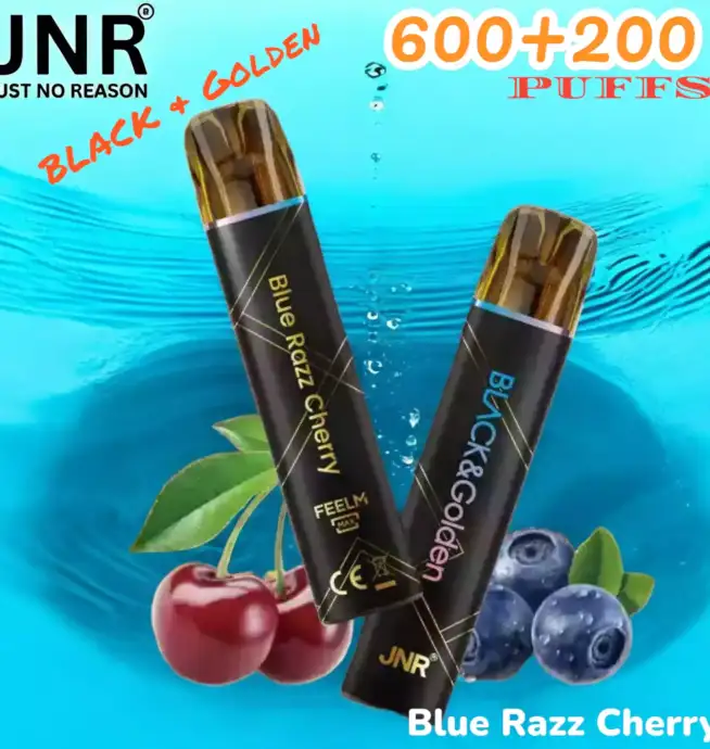 JNR BLACK & Golden 600+200 PUFFS Disposable Vape Triple Saveur Longue Durée