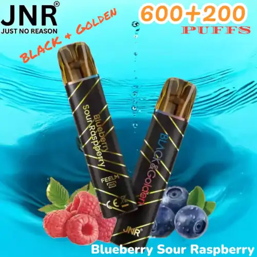JNR BLACK & Golden 600+200 PUFFS Disposable Vape Triple Saveur Longue Durée