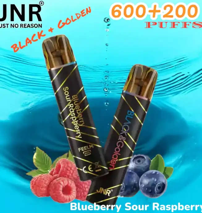 JNR BLACK & Golden 600+200 PUFFS Disposable Vape Triple Saveur Longue Durée