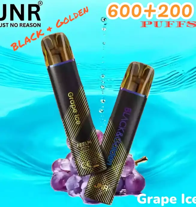 JNR BLACK & Golden 600+200 PUFFS Disposable Vape Triple Saveur Longue Durée
