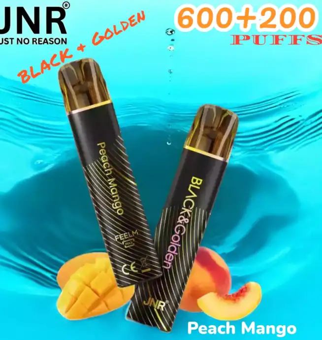 JNR BLACK & Golden 600+200 PUFFS Disposable Vape Triple Saveur Longue Durée