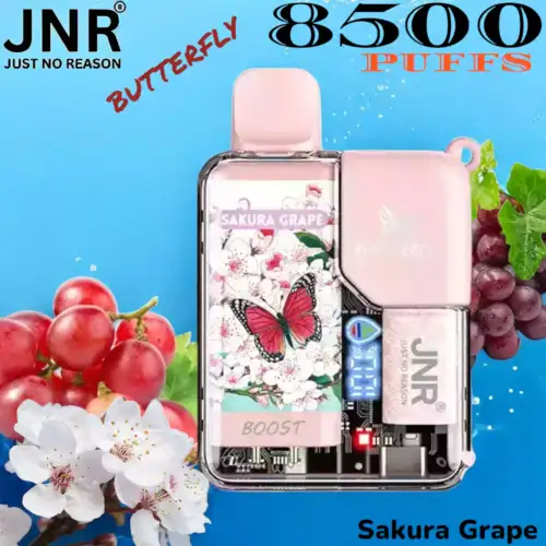 JNR Butterfly 8500 Puffs Vape jetable élégante et performante