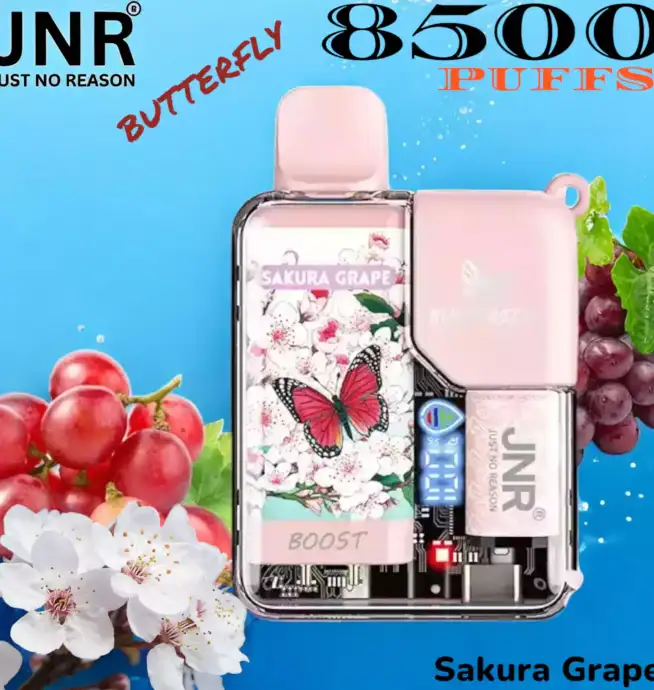 JNR Butterfly 8500 Puffs Vape jetable élégante et performante