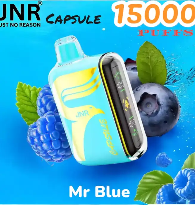 JNR Capsule 15000 PUFFS Vape Jetable Durable