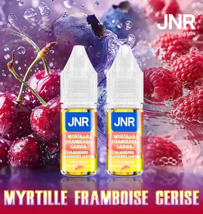 JNR E-liquide Disposable Vape Saveurs fruitées 10ml