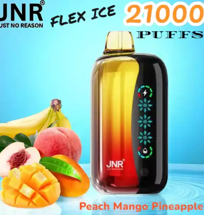 JNR FLEX ICE 21000 PUFFS Vape jetable 21K tactile
