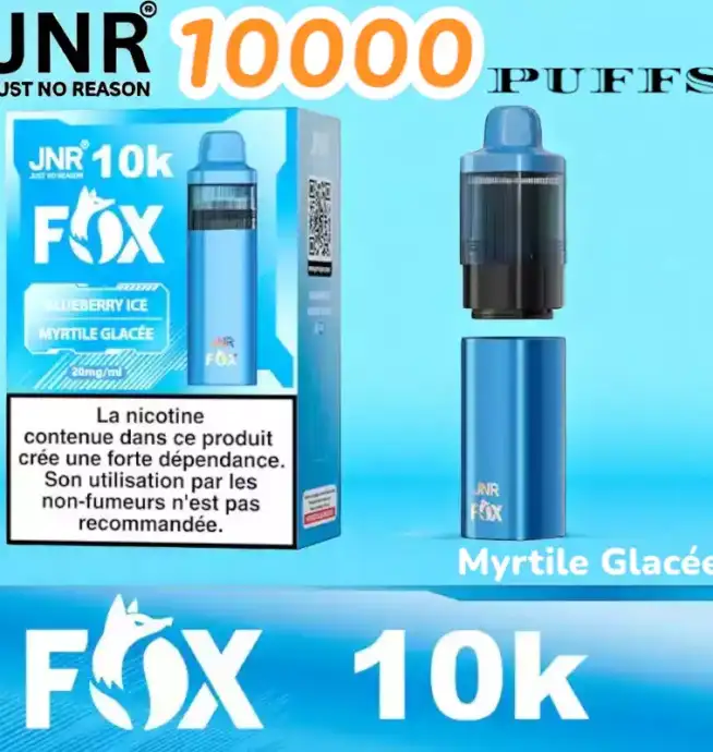 JNR FOX 10000 PUFFS Vape jetable 10K fruitée