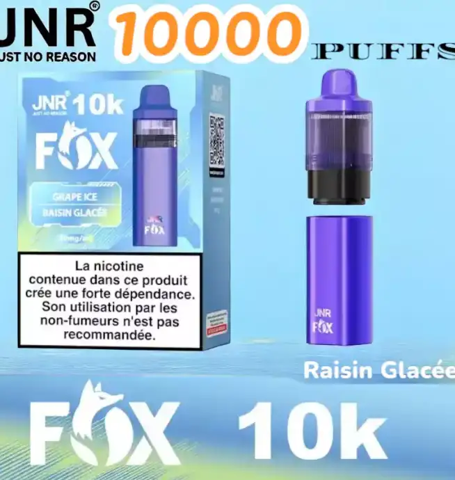 JNR FOX 10000 PUFFS Vape jetable 10K fruitée