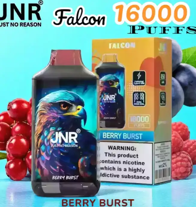 JNR Falcon 16000 Puffs Vape jetable puissante et rechargeable.