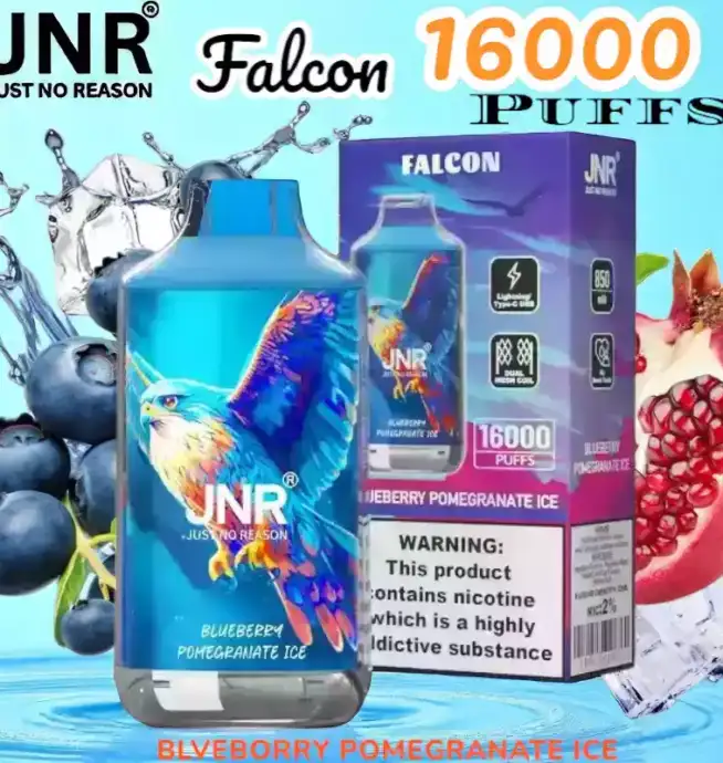 JNR Falcon 16000 Puffs Vape jetable puissante et rechargeable.
