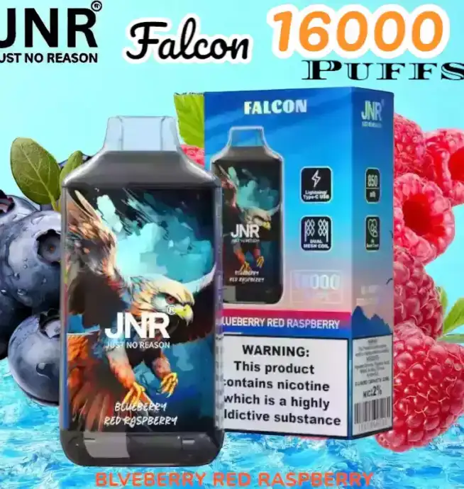 JNR Falcon 16000 Puffs Vape jetable puissante et rechargeable.