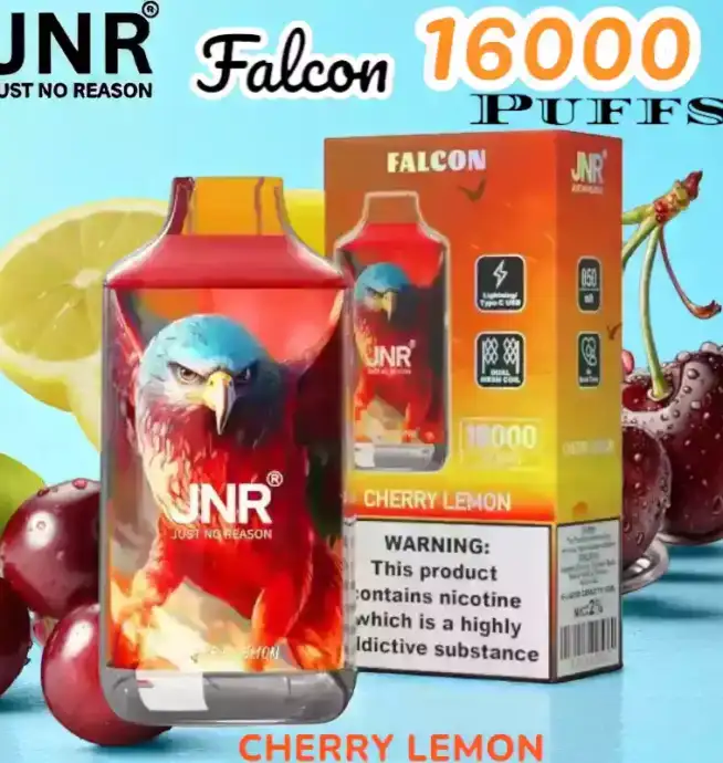 JNR Falcon 16000 Puffs Vape jetable puissante et rechargeable.
