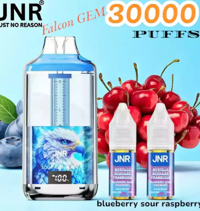 JNR Falcon GEM 30000 PUFFS Vape jetable double réservoir