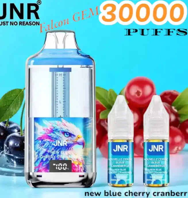 JNR Falcon GEM 30000 PUFFS Vape jetable double réservoir
