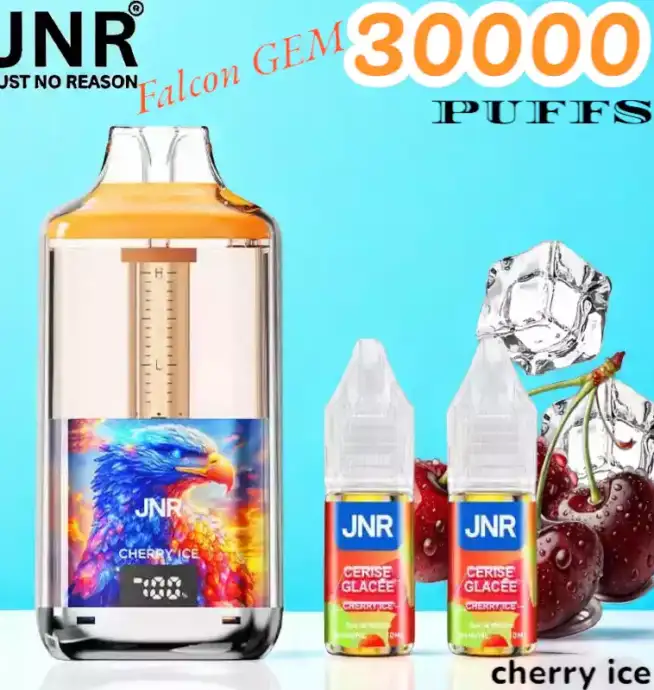 JNR Falcon GEM 30000 PUFFS Vape jetable double réservoir