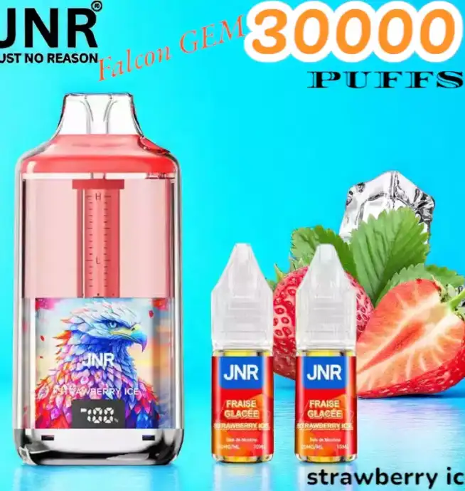 JNR Falcon GEM 30000 PUFFS Vape jetable double réservoir