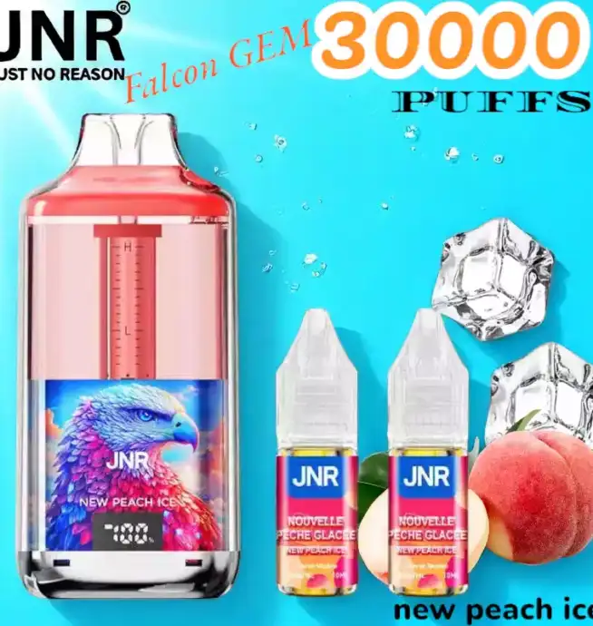 JNR Falcon GEM 30000 PUFFS Vape jetable double réservoir