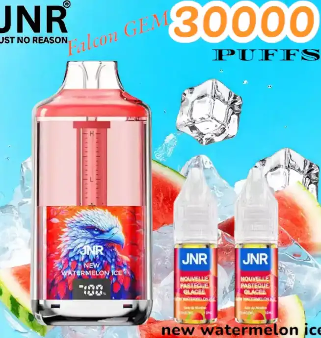 JNR Falcon GEM 30000 PUFFS Vape jetable double réservoir
