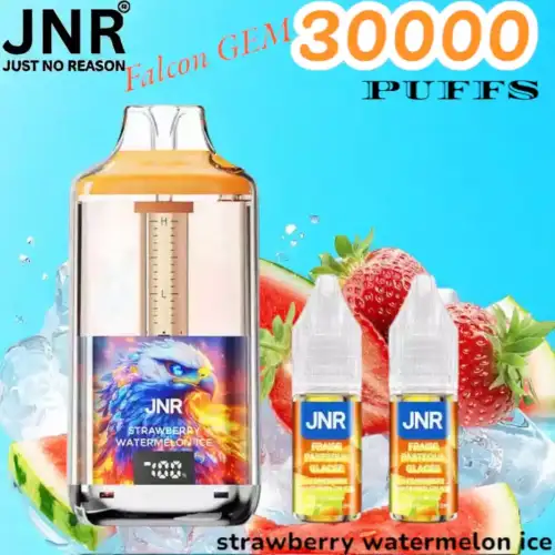 JNR Falcon GEM 30000 PUFFS Vape jetable double réservoir