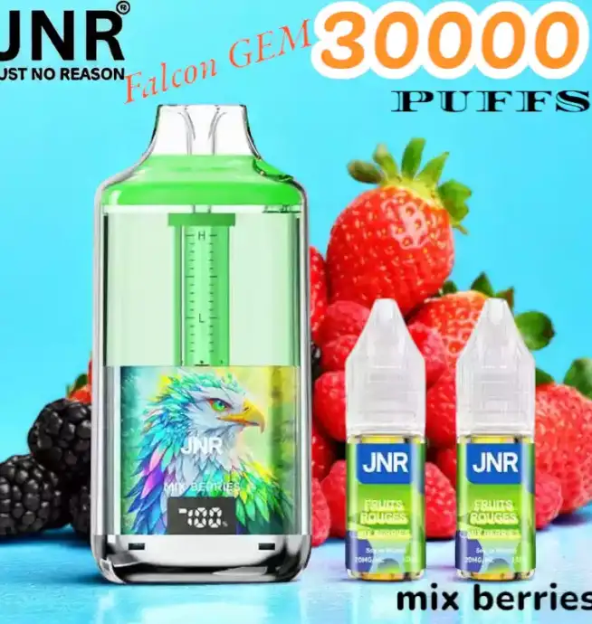 JNR Falcon GEM 30000 PUFFS Vape jetable double réservoir