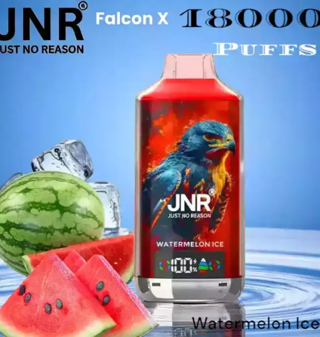 JNR Falcon X 18000 Puffs Vape Puissante et Saveurs Intenses