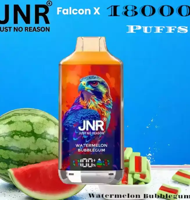 JNR Falcon X 18000 Puffs Vape Puissante et Saveurs Intenses