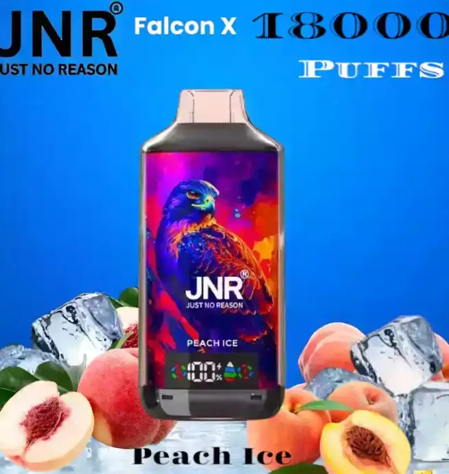 JNR Falcon X 18000 Puffs Vape Puissante et Saveurs Intenses