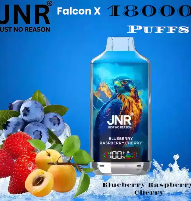 JNR Falcon X 18000 Puffs Vape Puissante et Saveurs Intenses