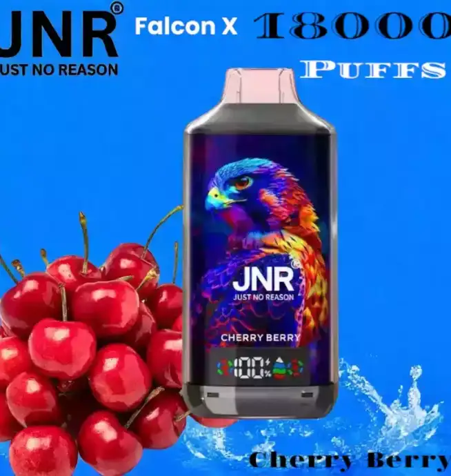 JNR Falcon X 18000 Puffs Vape Puissante et Saveurs Intenses