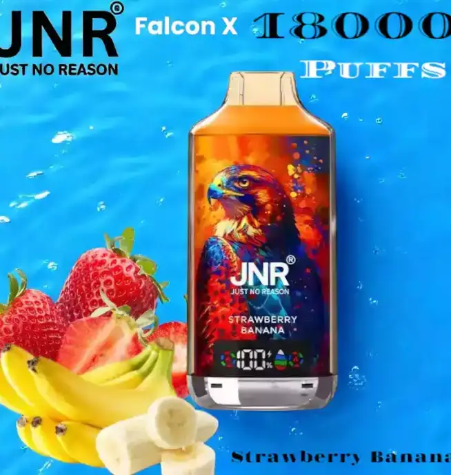 JNR Falcon X 18000 Puffs Vape Puissante et Saveurs Intenses