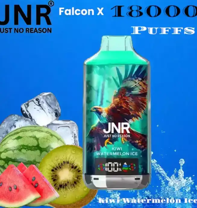 JNR Falcon X 18000 Puffs Vape Puissante et Saveurs Intenses