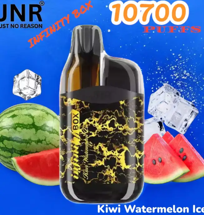 JNR INFINITY BOX 10700 PUFFS Long-Lasting Disposable Vape