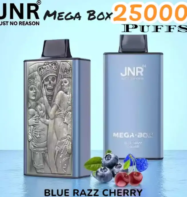 JNR Mega Box 25000 Puffs Vape Longue Durée et Saveurs Riches – Image 11