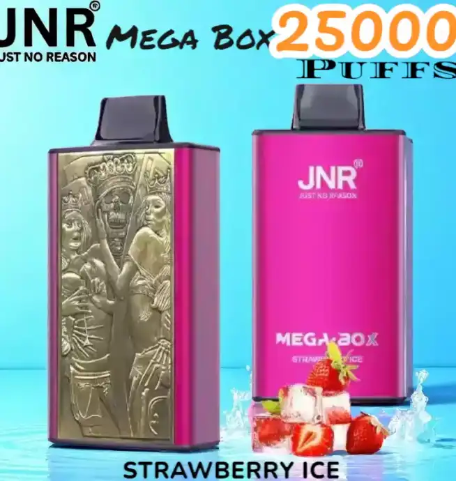 JNR Mega Box 25000 Puffs Vape Longue Durée et Saveurs Riches