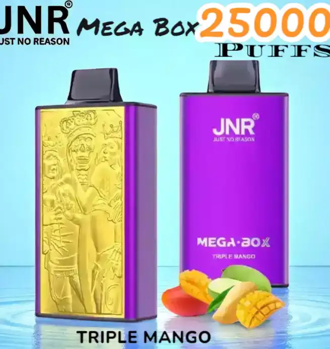 JNR Mega Box 25000 Puffs Vape Longue Durée et Saveurs Riches