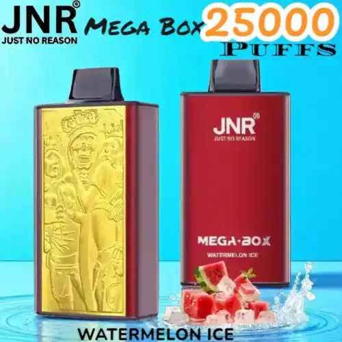 JNR Mega Box 25000 Puffs Vape Longue Durée et Saveurs Riches
