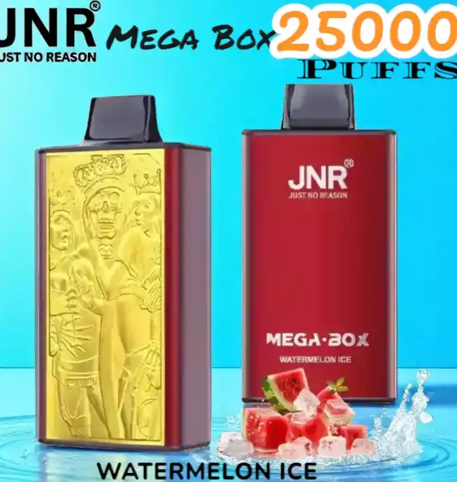 JNR Mega Box 25000 Puffs Vape Longue Durée et Saveurs Riches