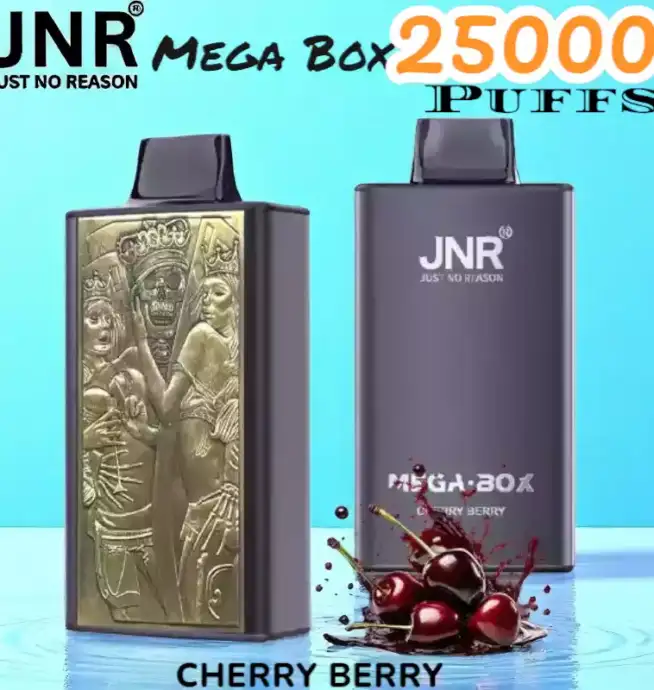 JNR Mega Box 25000 Puffs Vape Longue Durée et Saveurs Riches