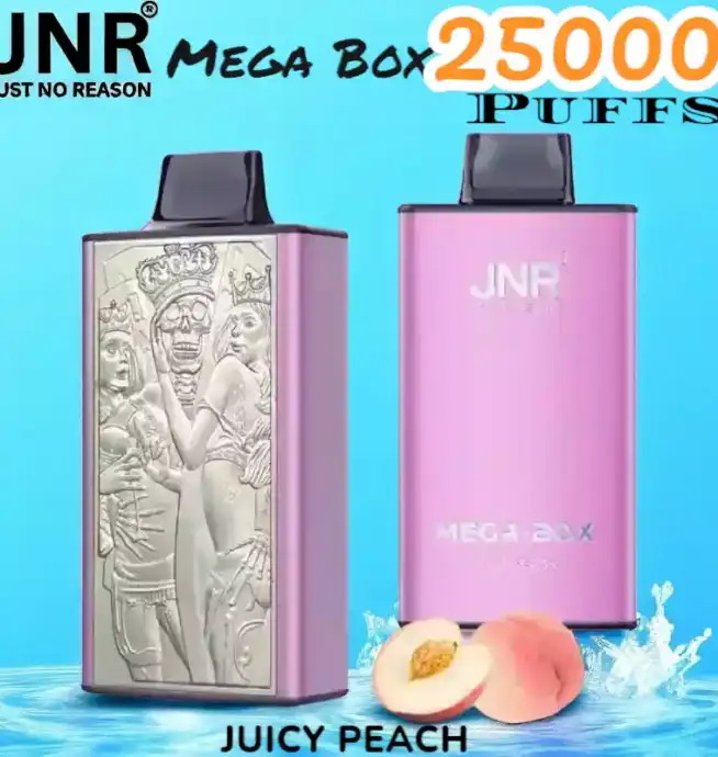 JNR Mega Box 25000 Puffs Vape Longue Durée et Saveurs Riches
