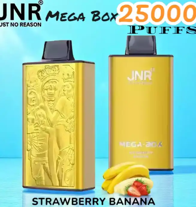 JNR Mega Box 25000 Puffs Vape Longue Durée et Saveurs Riches