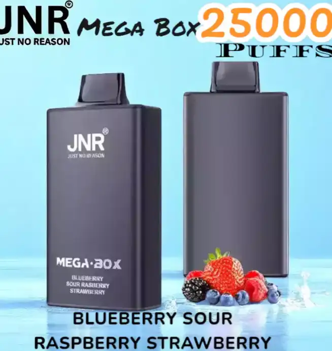 JNR Mega Box 25000 Puffs Vape Longue Durée et Saveurs Riches