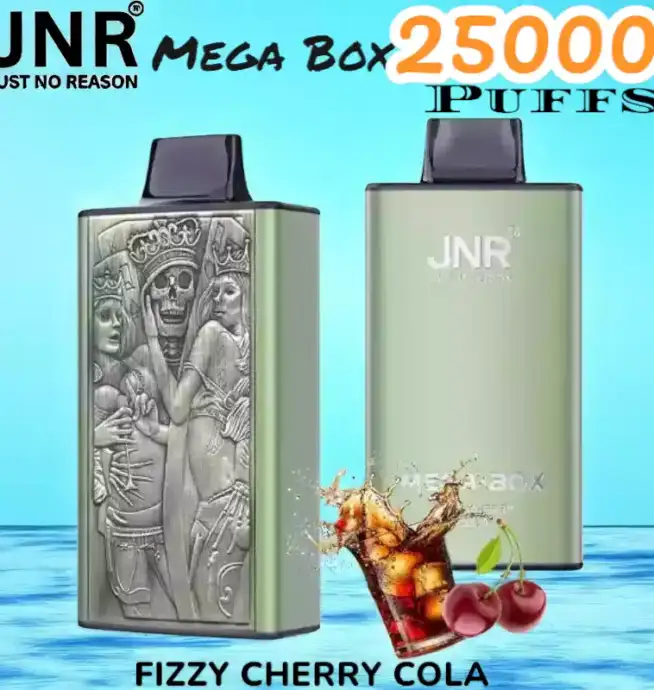 JNR Mega Box 25000 Puffs Vape Longue Durée et Saveurs Riches