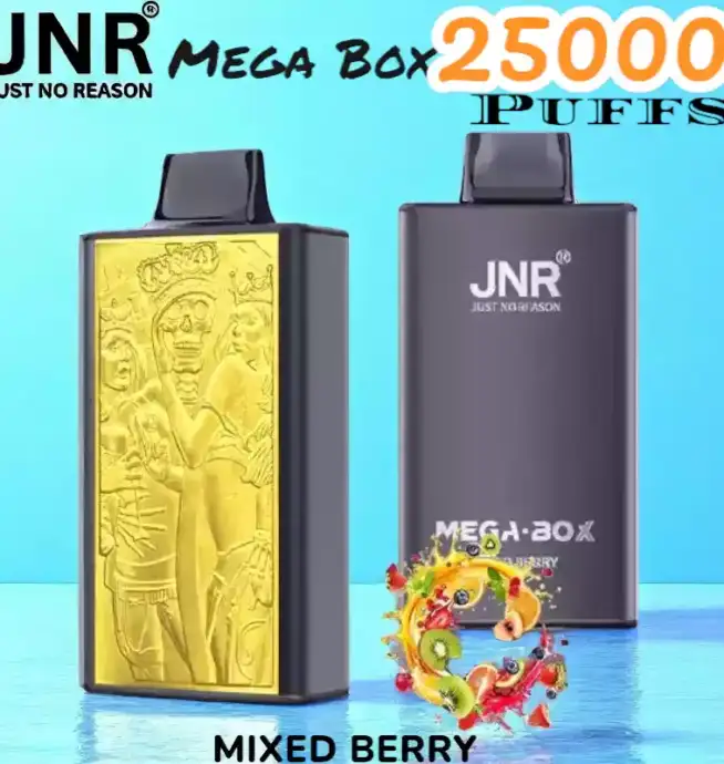 JNR Mega Box 25000 Puffs Vape Longue Durée et Saveurs Riches