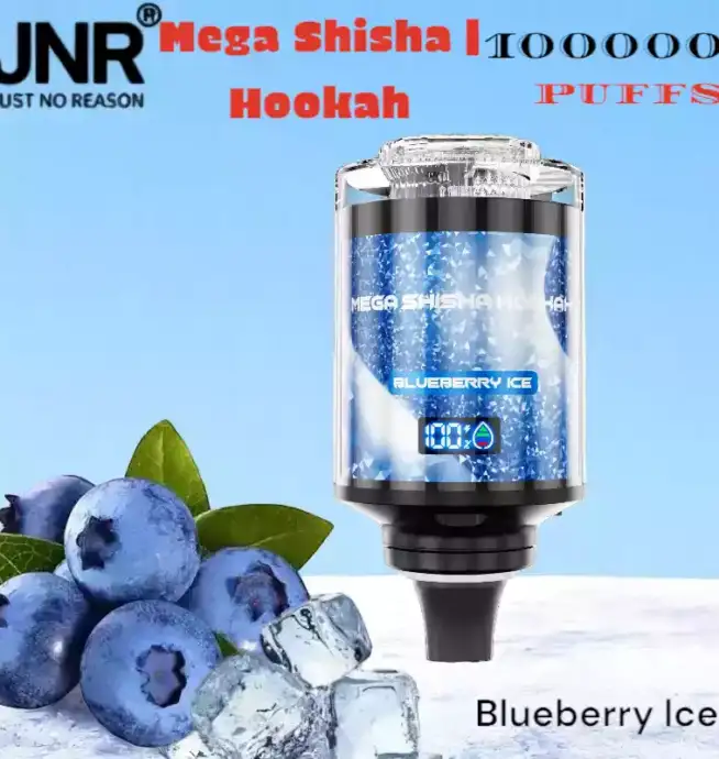 JNR Mega Shisha Hookah 100000 Puffs Vape Avec Lumière et Saveurs – Image 11