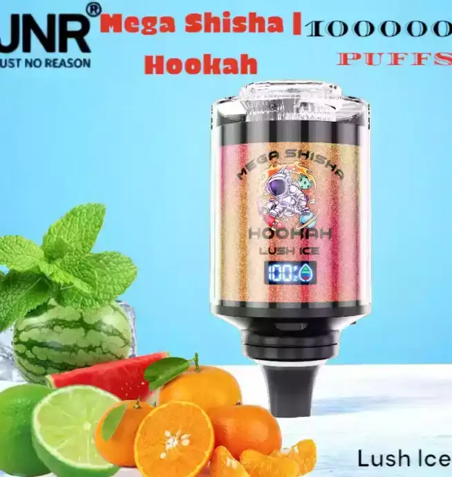JNR Mega Shisha Hookah 100000 Puffs Vape Avec Lumière et Saveurs